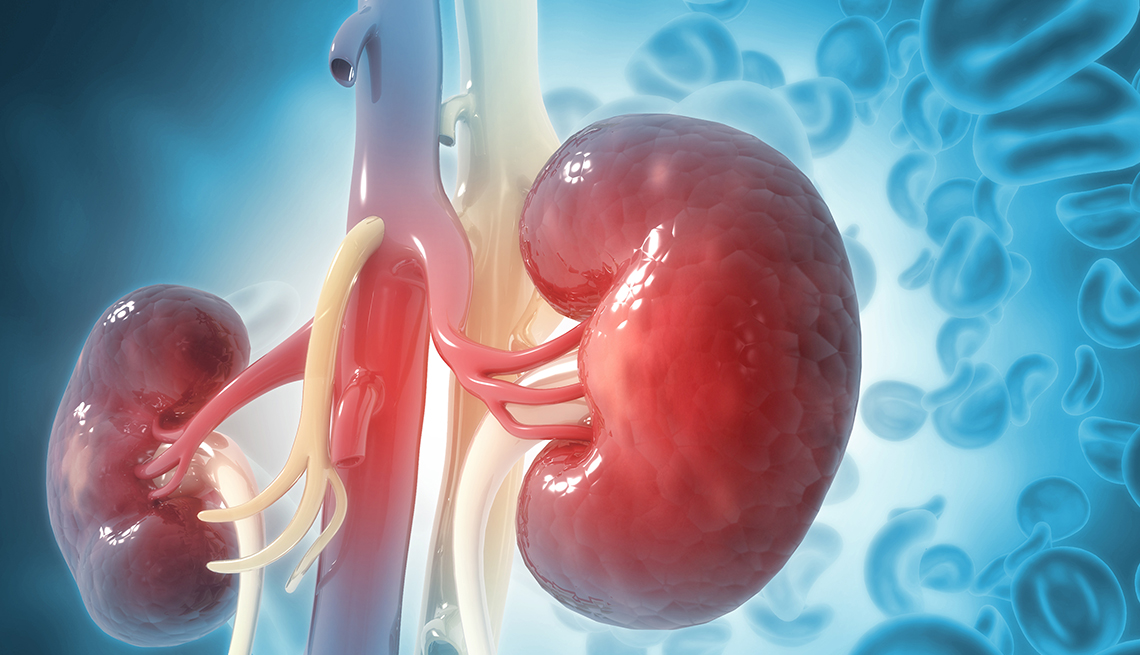 They may be small in size, but your kidneys play a big role in keeping you healthy. Here are nine tips to keep them going strong.